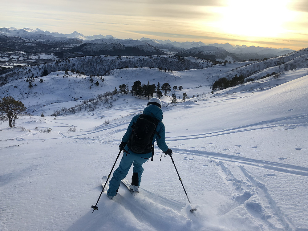 Oda ned den fine sida over myra