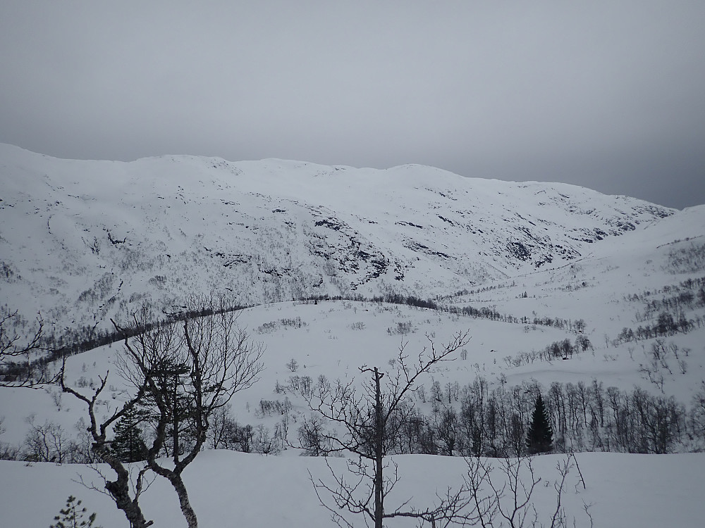 Otredalsfjellet midt i bildet.