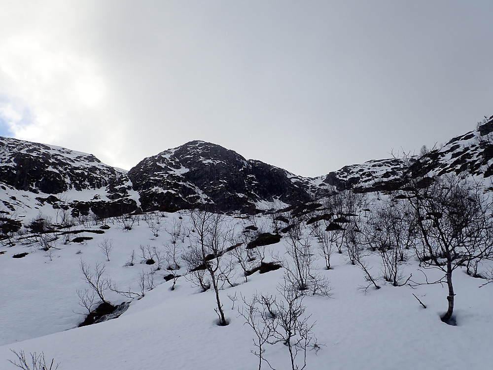 Skia kunne tas på et stykke før tregrensa. Ganske stilig terreng i bollen nord for punkt 927 med to bratte smale renner som så kjørbare ut.