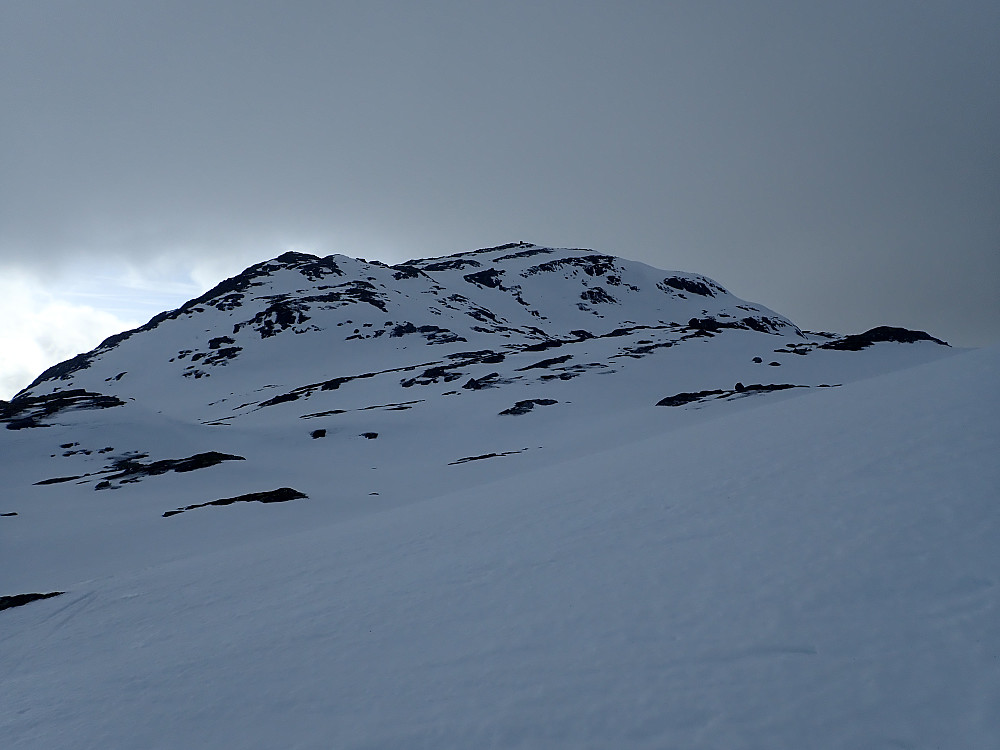 Tua sett fra nord