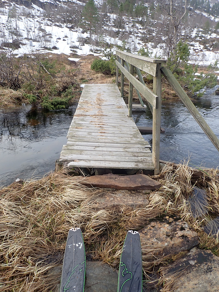 Ski på til brua over elva ved Lomtjønna. Deretter skøyting tilbake til bilen. 