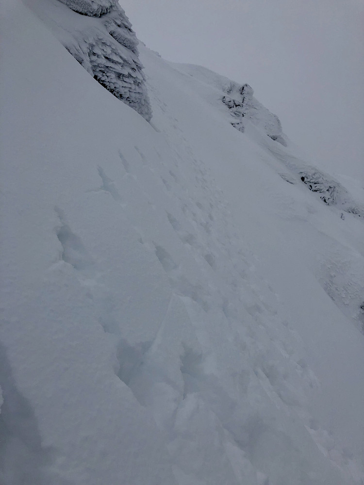 Øvre del av snøfeltet som ledet opp på vestryggen