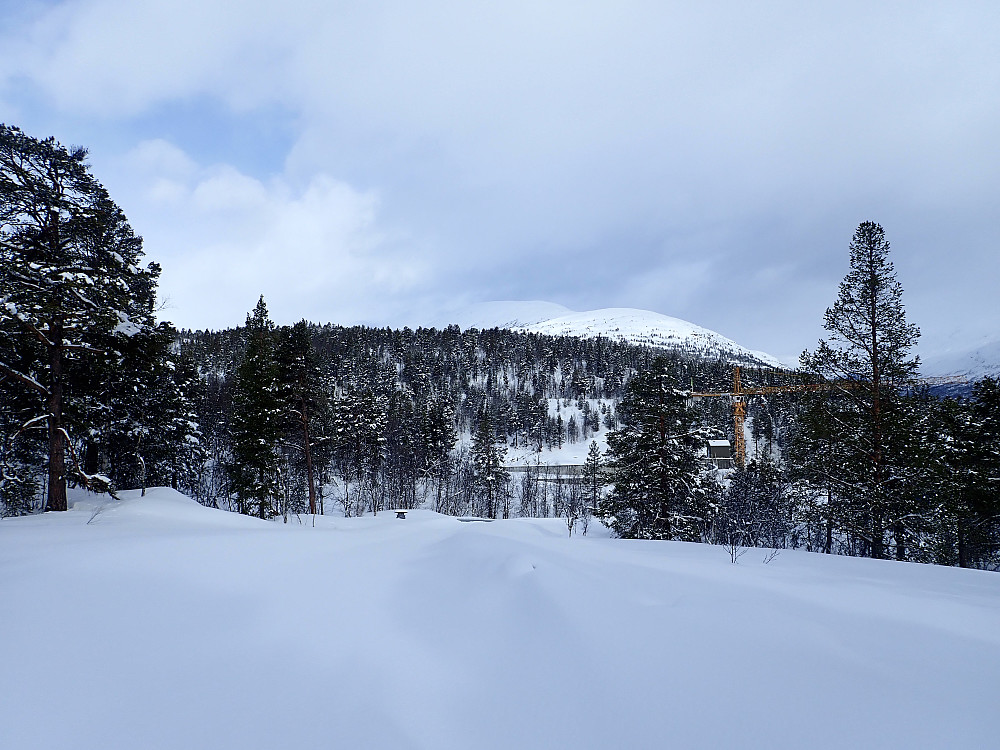 Veslefjellet sett fra like etter parkeringa. 