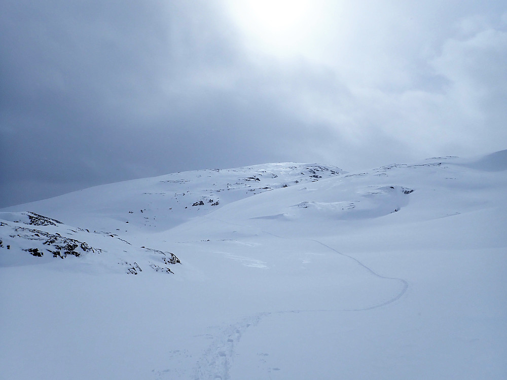 Veslefjellet sett fra punkt 1335.