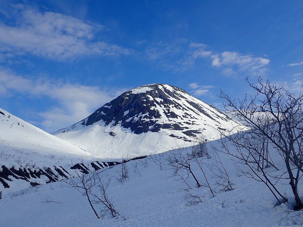 Melkallen i all sin prakt (noen vil kanskje hevde den forsvinner en smule mellom de litt større fjellene rundt...)