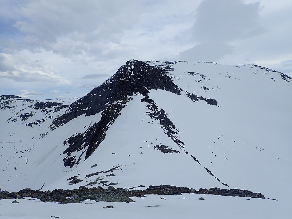 Neste topp, Breielnebba øst (1454 moh) så bratt ut i vestsida. Fjellklubbgjengen mente det så lætt ut. Å gå rundt ble derfor ikke et tema.