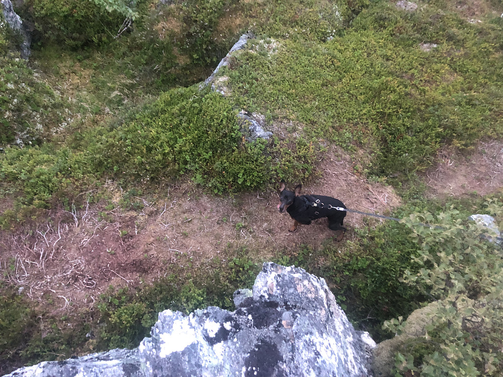 Ylva på toppen, klar for å komme seg ned på hytta og i seng.