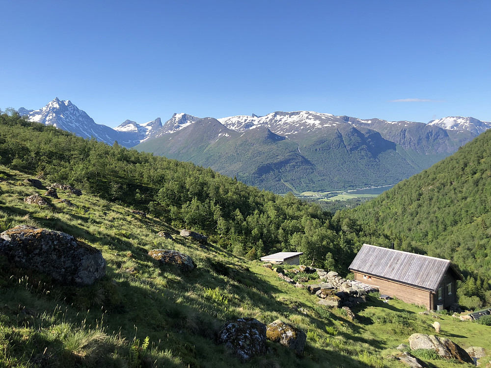 Nokså nydelig i Isfjorden i dag. Parogtjuegrader og vindstille.