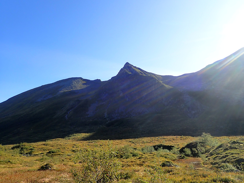 Vi fulgte stien til vi kom til det innerste vannet i dalen. Derfra skrådde vi opp mot Bukkedalen langs det vegeterte partiet til høyre i bildet. Et kort litt bratt parti før vi kom opp i selve dalen, men helt greit å ta seg frem.