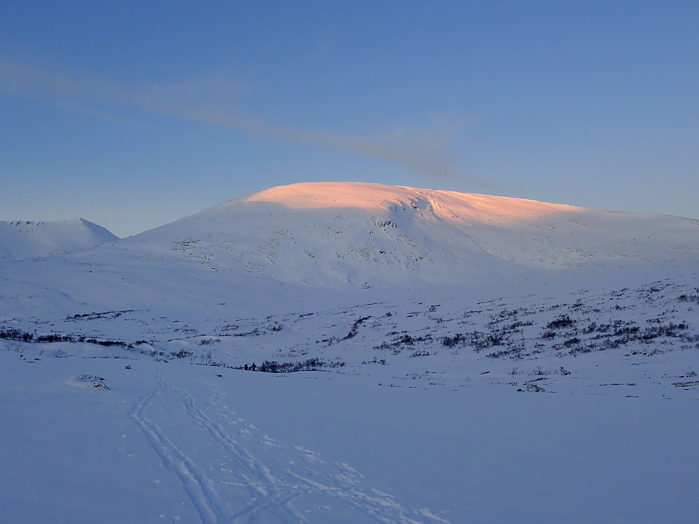 Skarfjellet