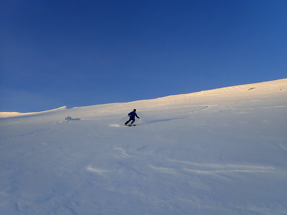 Geir i flanken ned fra Skarfjellet. Herlig lys og føre her i dag.