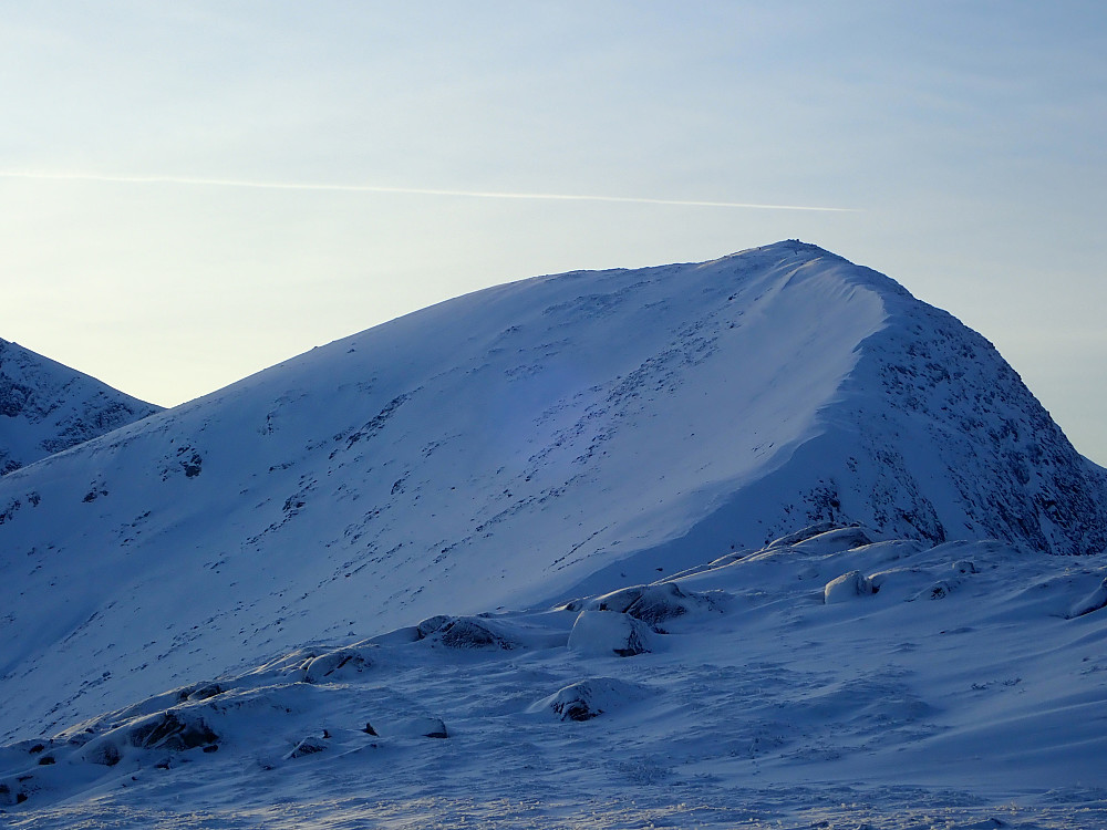 Skarfjellet