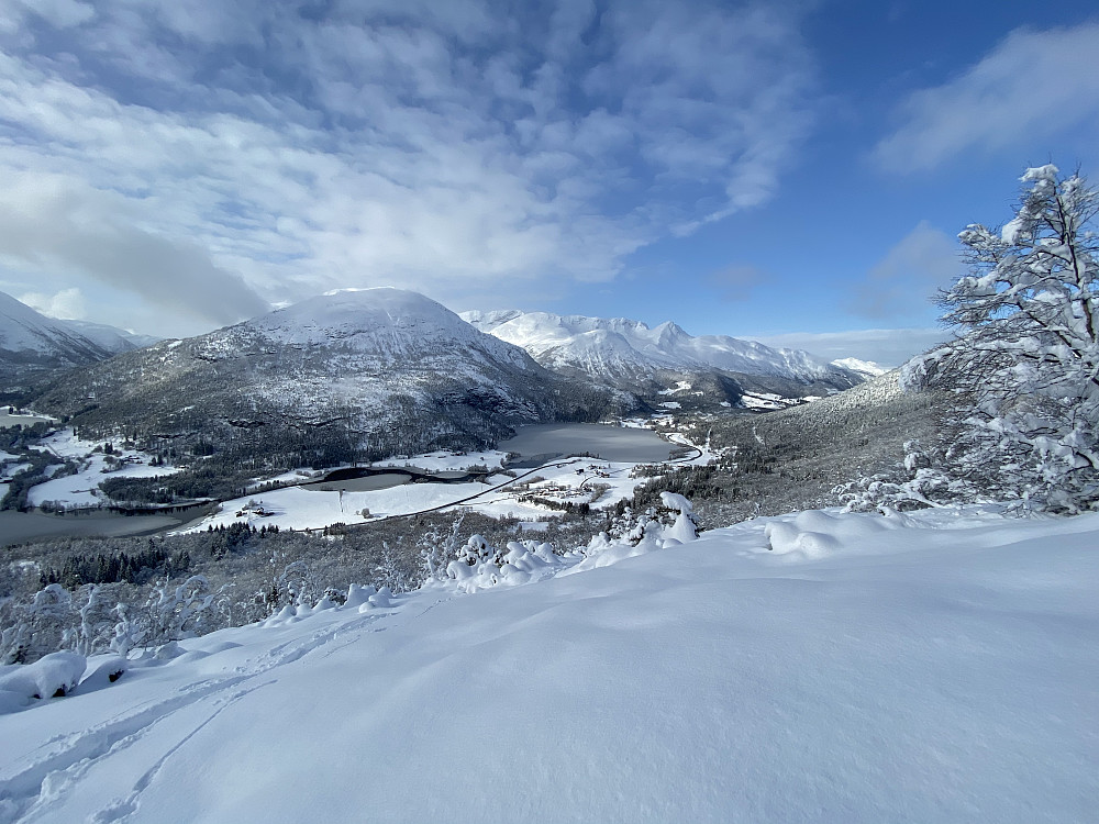 Øvre del av skogen. Rått føre her på vei opp, men dessverre hadde snøen blitt litt for kram i nedre del da jeg kjørte ned.