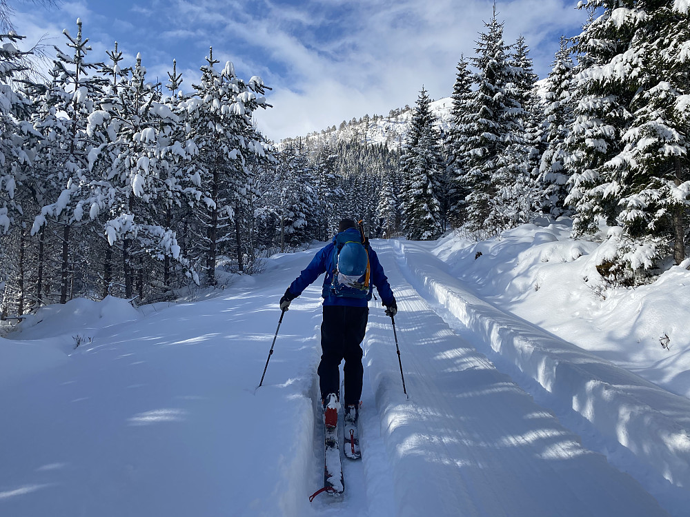 Nesten 40 cm nysnø på skogsveien
