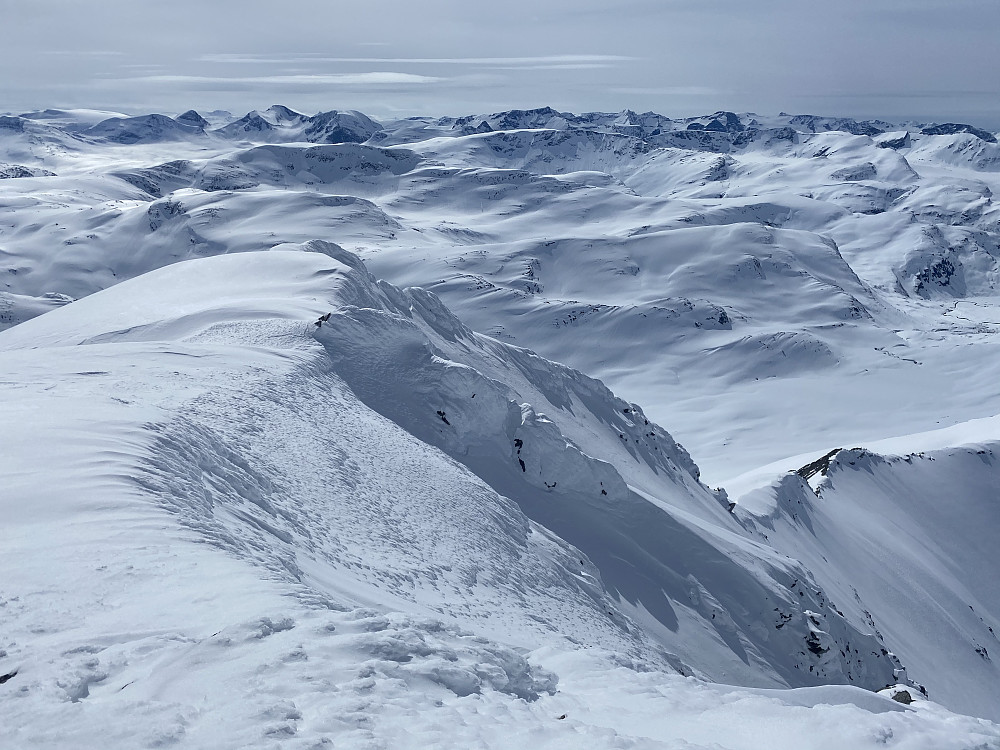 Bilde tatt ned vestryggen på Neådalssnota. Så ut som om det skulle gått fint å ta seg ned her på ski.