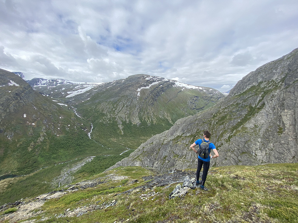 På ryggen opp langs Raudbekken. Tidvis sauetråkk gjennom skogen gjør den varianten her til et ok alternativ.