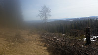 På toppen av Skonhovdhøgda, sett mot nord.