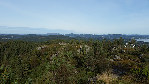 Askøy er skogkledd