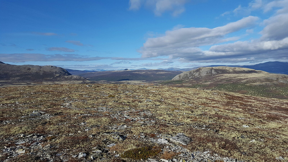 Utsikt mot nord, med Veslkringla (Folldals "Ayers Rock") i høgre side. 