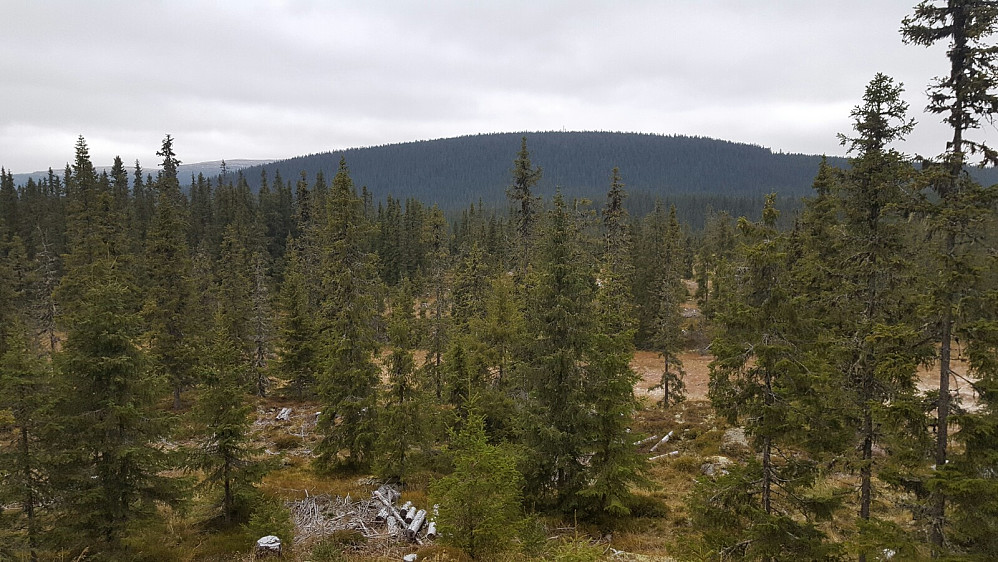 Fin utsikt mot Gropmarka og Grøtåshaugen.