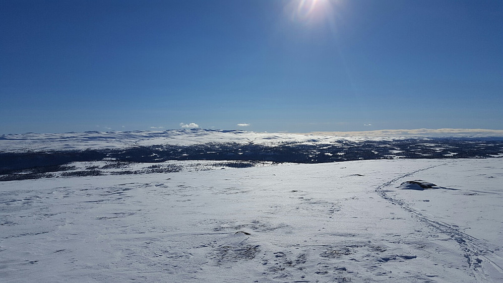 Frå toppen. Synnfjell i bakgrunnen, trur vi ser Spåtind.