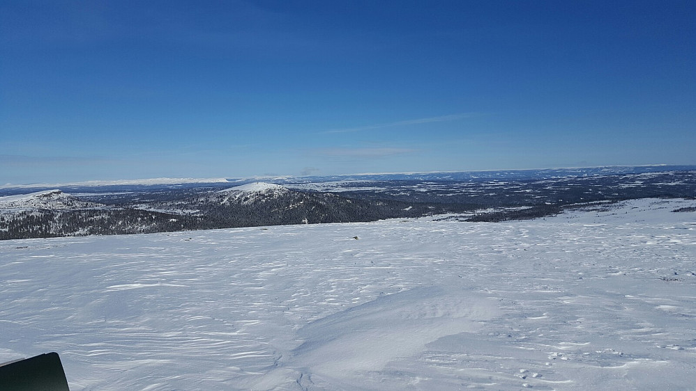 Her ser vi mot både Dokkampen og Ormtjernkampen.