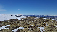 mariusmeland_20170501_59078de570452.jpg