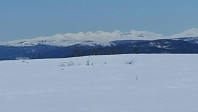 mariusmeland_20170501_59078deae03a5.jpg