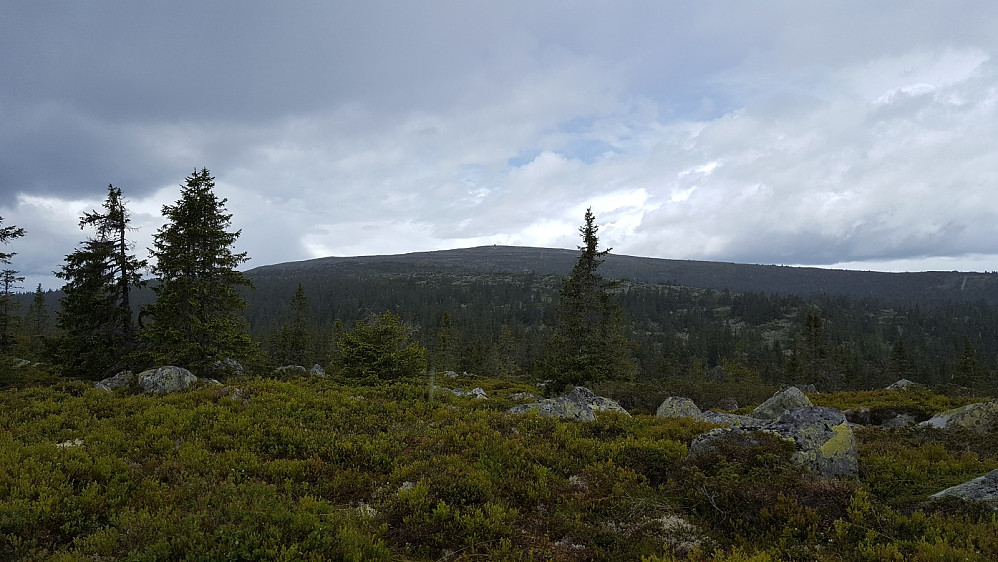 Frå toppen dette også. Her ser vi mot Nevelfjell.