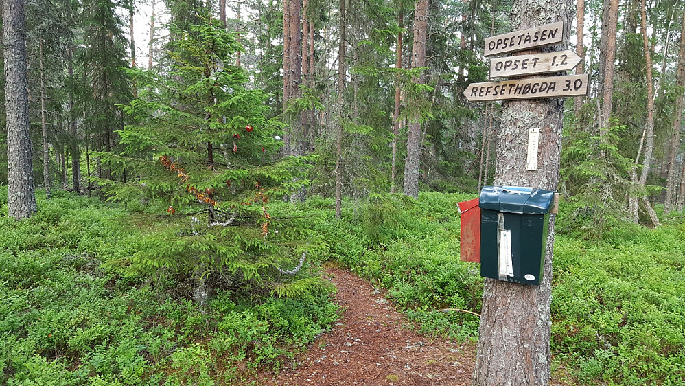 På toppen av Oppsetåsen.