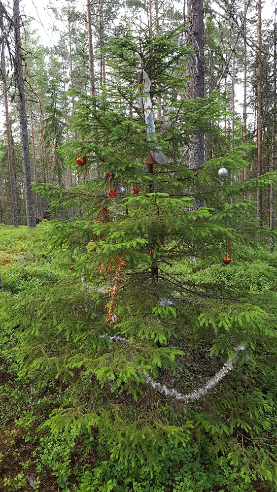 Her har det vore julefeiring :)