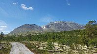 På veg mot Veslsvulten (venstre) og Rondvasshøgde (høgre)