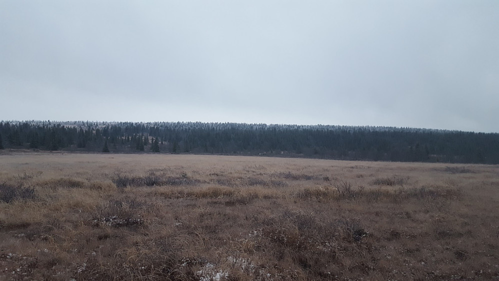 På veg ned, tilbakeblikk mot Hykilåsen, skodda har letta. Spesiell topp, ikkje lett å sjå kor toppunktet er her.