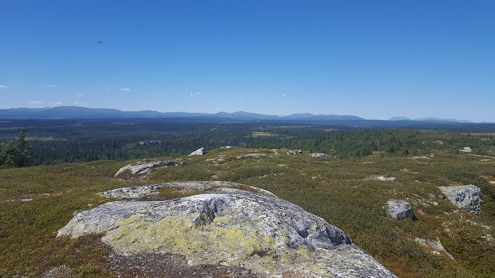 No er eg på toppen. Flott utsikt mot vest, med snødekte fjell i Jotunheimen, Heidalsmuen, you name it.