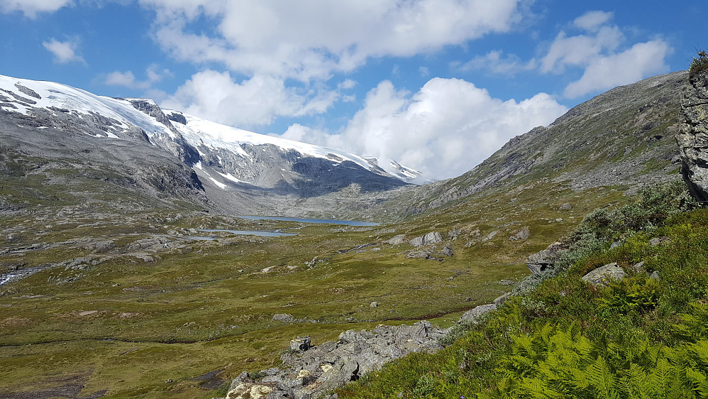 På veg opp, utsikt mot Grasdalsvatnet og Skjæringsdalsbreen.