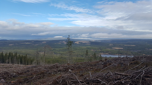 Hogstfelt er kanskje ikkje veldig fint, men utsikten blir jo god. Utsikten tatt frå Stylen i retning Mesnadalen og Nevelfjell.