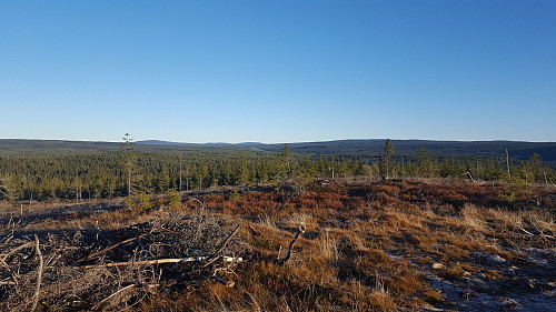Fin utsikt frå Høgsvehaugen i dag. Ser nordover mot mellom anna Brumundkampen.