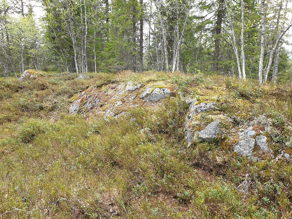 På topp av Skrevsrudhøgda.