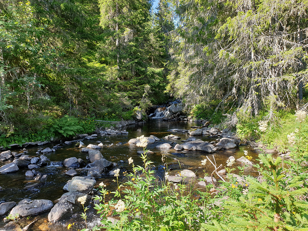Fint i Floka. Foto teke der sporet kryssar Floka.