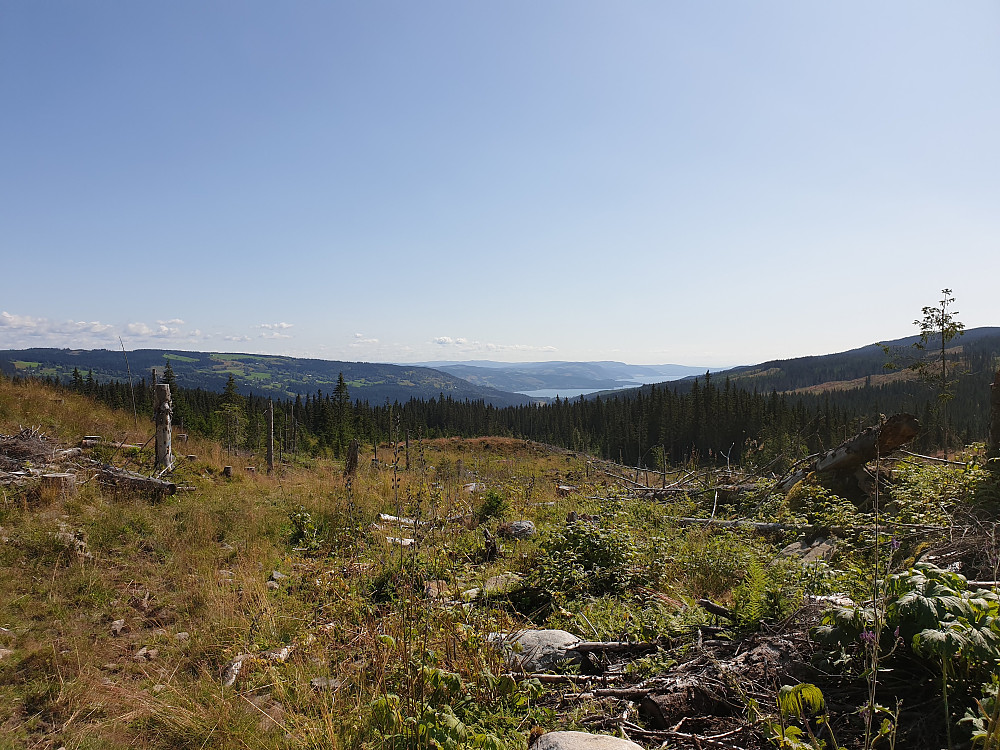 Fin utsikt mot Vingrom og Mjøsa, foto frå 569-6771.