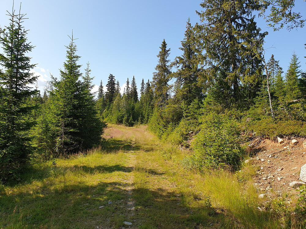 Frå 572-6767.