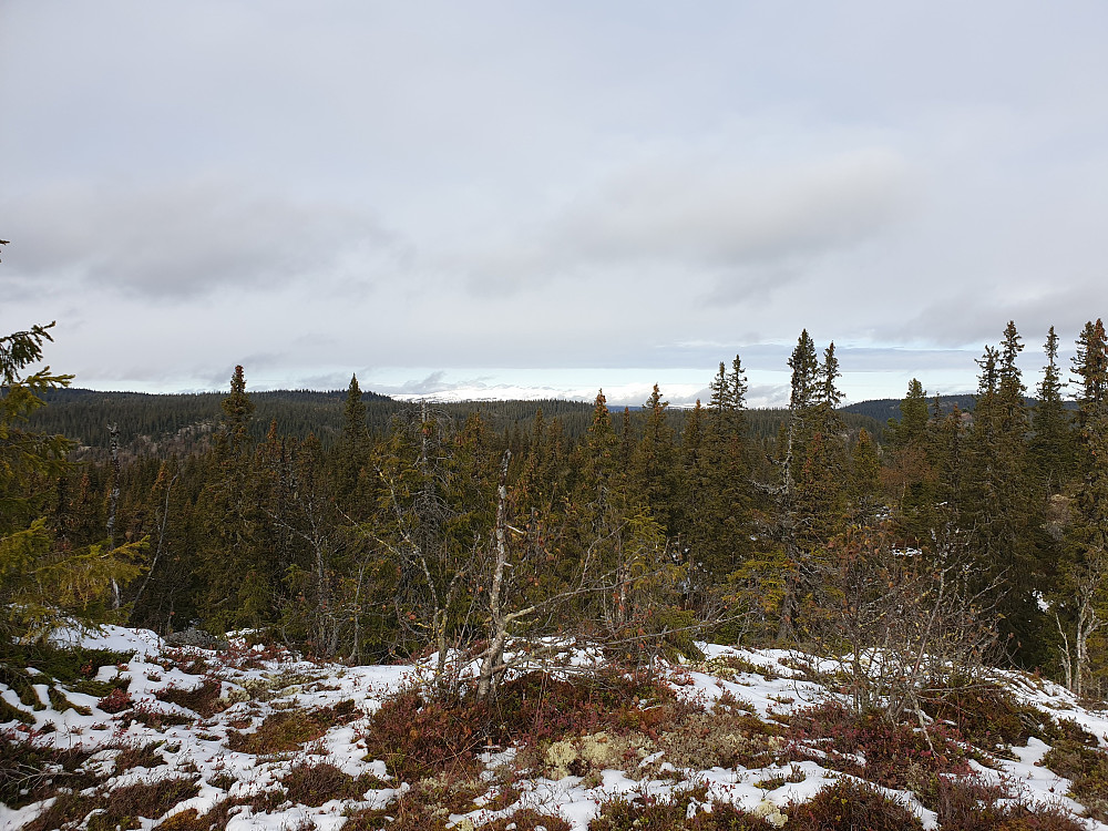 Utsikt frå toppen mot Synnfjell i nord.
