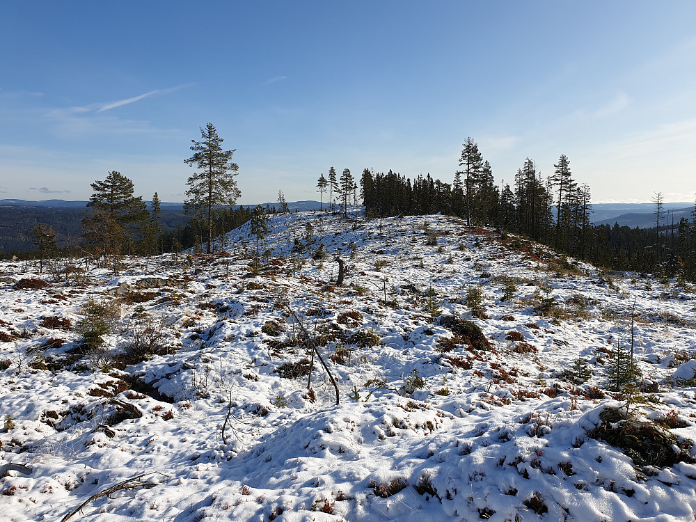 På toppen av Torderudshøgda, slik det stod på kartet. Dvs. eg trur kanskje det er den eigentlege toppen vi ser bak i bildet, så eg gjekk dit også.