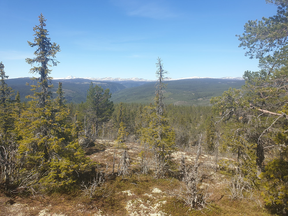 Utsikt mot Rondane, Venabygdsfjellet, Muen m.m. mot nord.