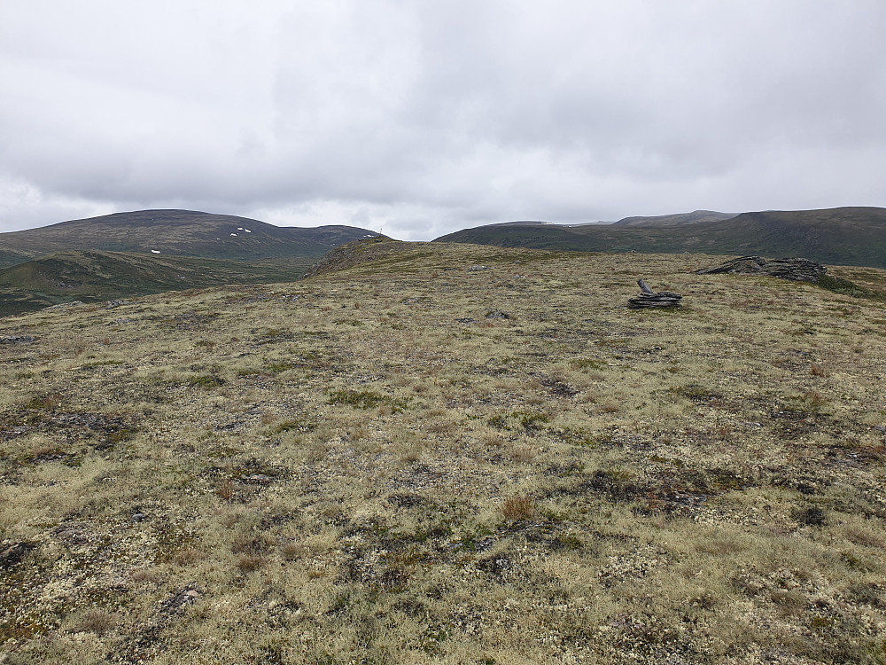 Snart på topp av Ryhaugkollen.