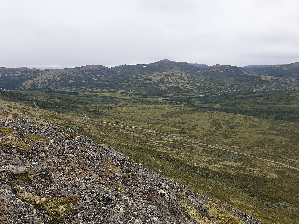Utsikt frå Ryhaugkollen