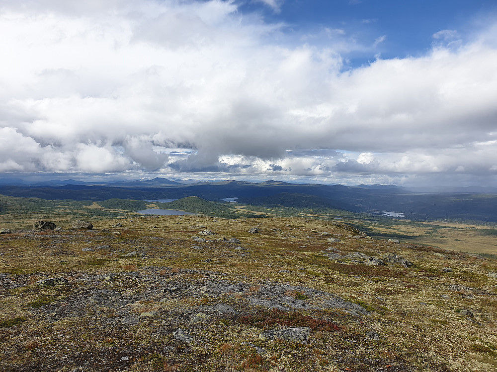 Fin utsikt frå Vestre Røssjøkollen. Ser mot området Reinsjøen/Vågskardfjellet/Skjellbreida. Langsua-toppane er vel i bakgrunnen der?