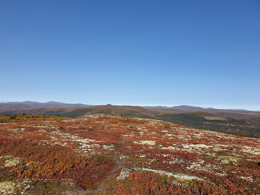 Storhaugen er ein iten topp, men med framragande utsikt. I bakgrunnen ser vi mellom anna Søre Suluhø og Druktjørnhaugen, som eg var på seinare i dag.