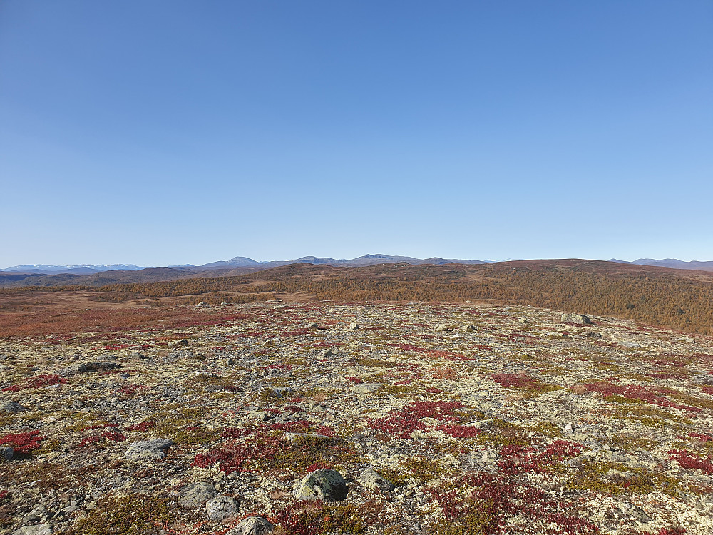 På Søre Suluhø. Flott utsikt, her mot Langsua-toppane, Skaget m.m.