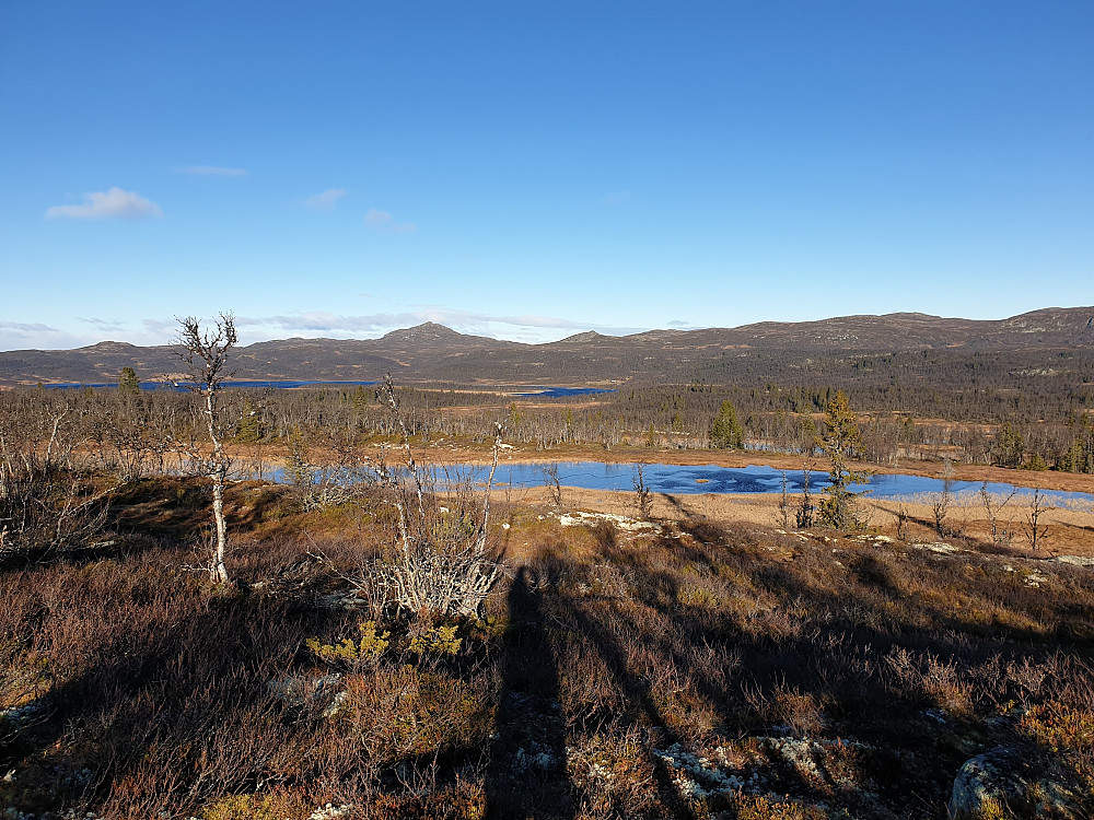Fin utsikt mot nord frå Lenningshøgda. Bak i det fjerne ruvar Djuptjernkampen, dagens andre turmål.
